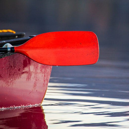 EBD_Loch_Eil_Paddle_Close_up_520x520